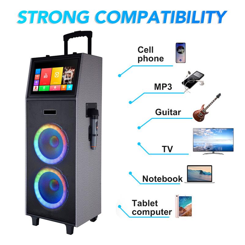 Professional Wirless Karaoke Machine 4000W Portable Speaker System 14.1