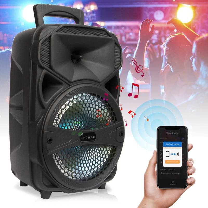 Portable Speaker system With Microphone Rechargeable Wireless Party Speaker 8inch Party Box Bluetooth FM Radio LED Lighting Audio Remote Control